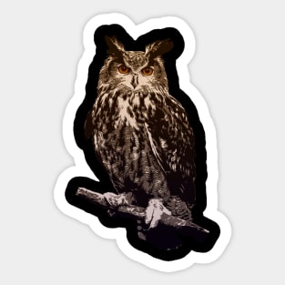 Owl Vector Graphic Design Sticker